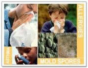 allergy